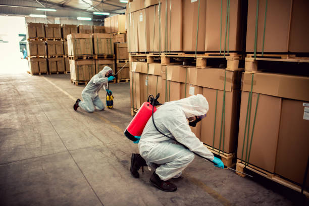Best Rat Extermination Near Me  in Ilco, WA