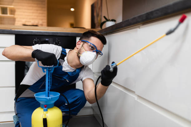Professional Pest Control in Ilwaco, WA