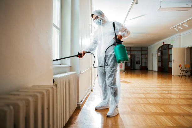 Best Mosquito Control Services  in Ilco, WA
