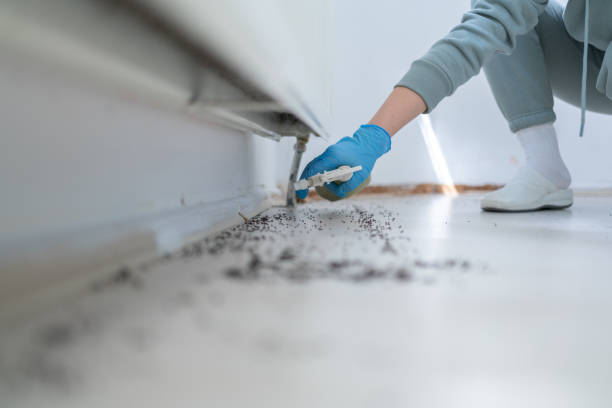 Best Bed Bug Extermination  in Ilco, WA